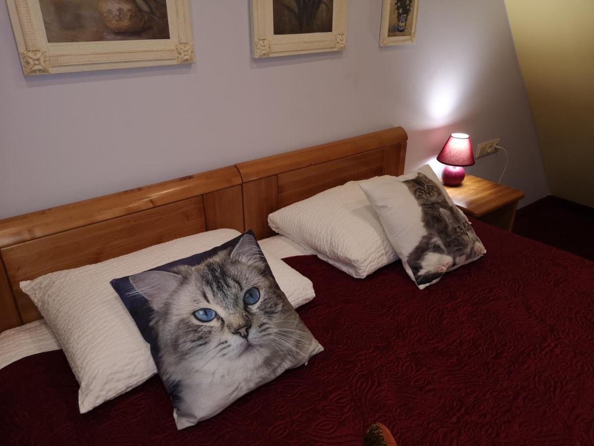 ホテル Senlīči イェルガヴァ エクステリア 写真