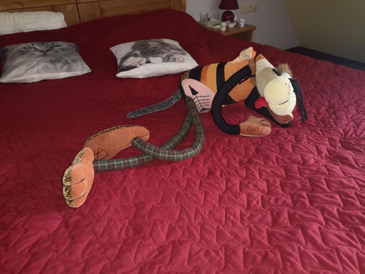 ホテル Senlīči イェルガヴァ エクステリア 写真