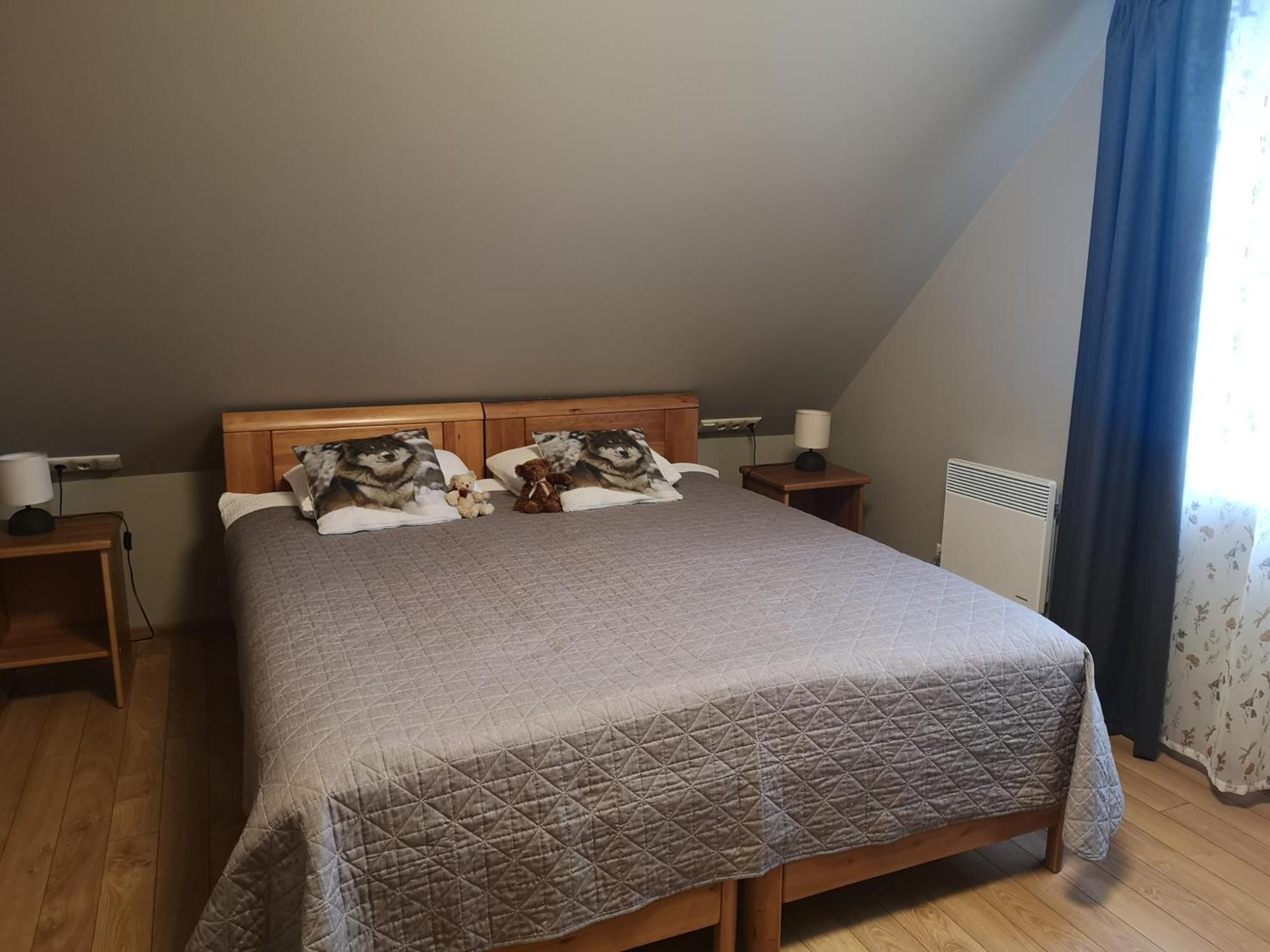 ホテル Senlīči イェルガヴァ 部屋 写真